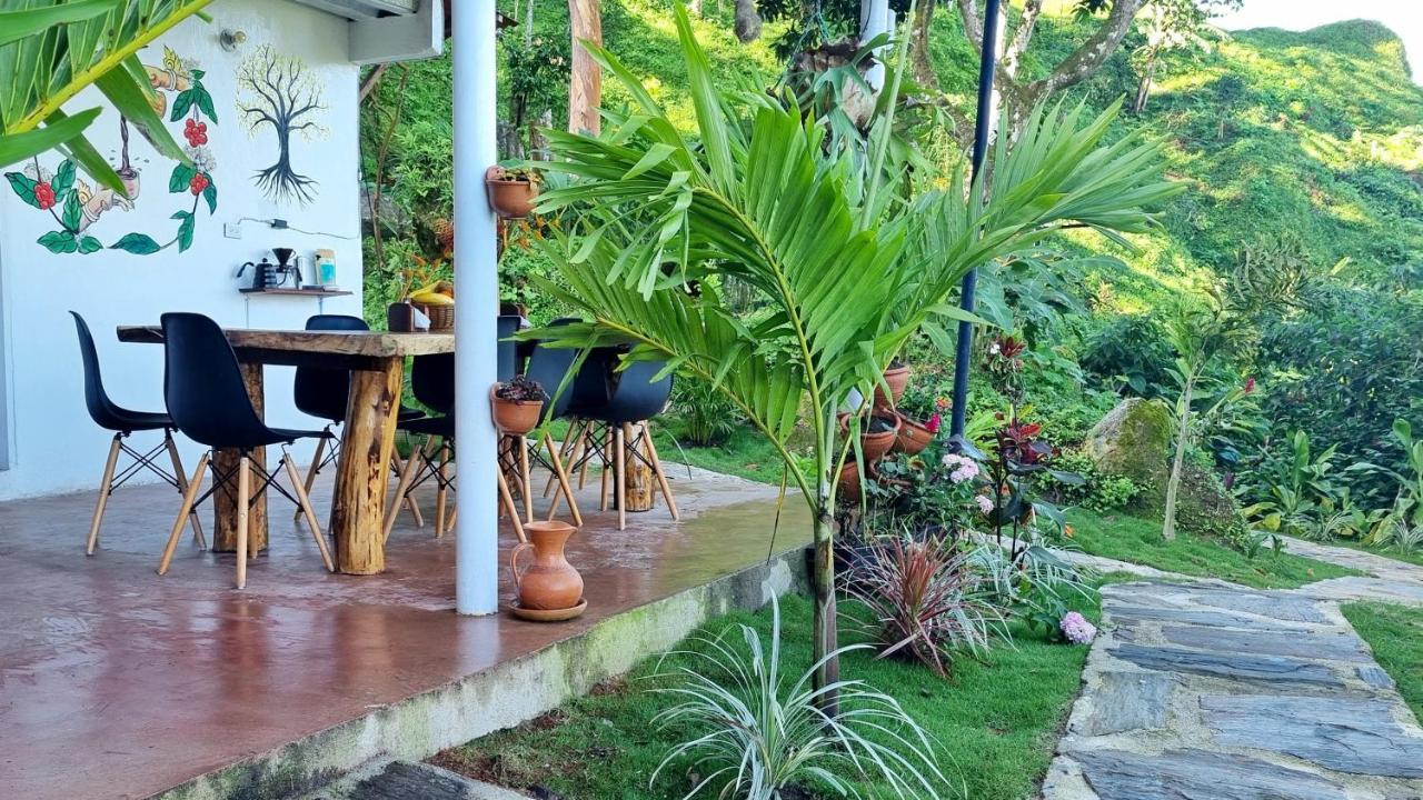 Minca Sintropia - Sustainable Lodge & Organic Coffee Finca Exterior photo