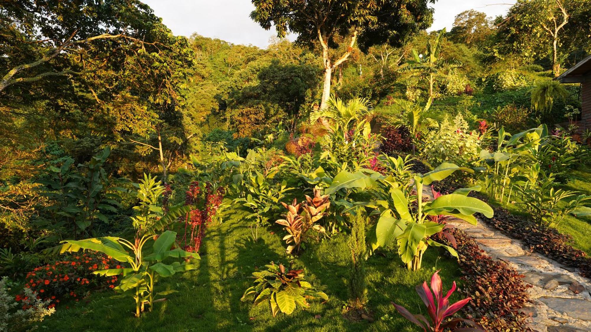 Minca Sintropia - Sustainable Lodge & Organic Coffee Finca Exterior photo