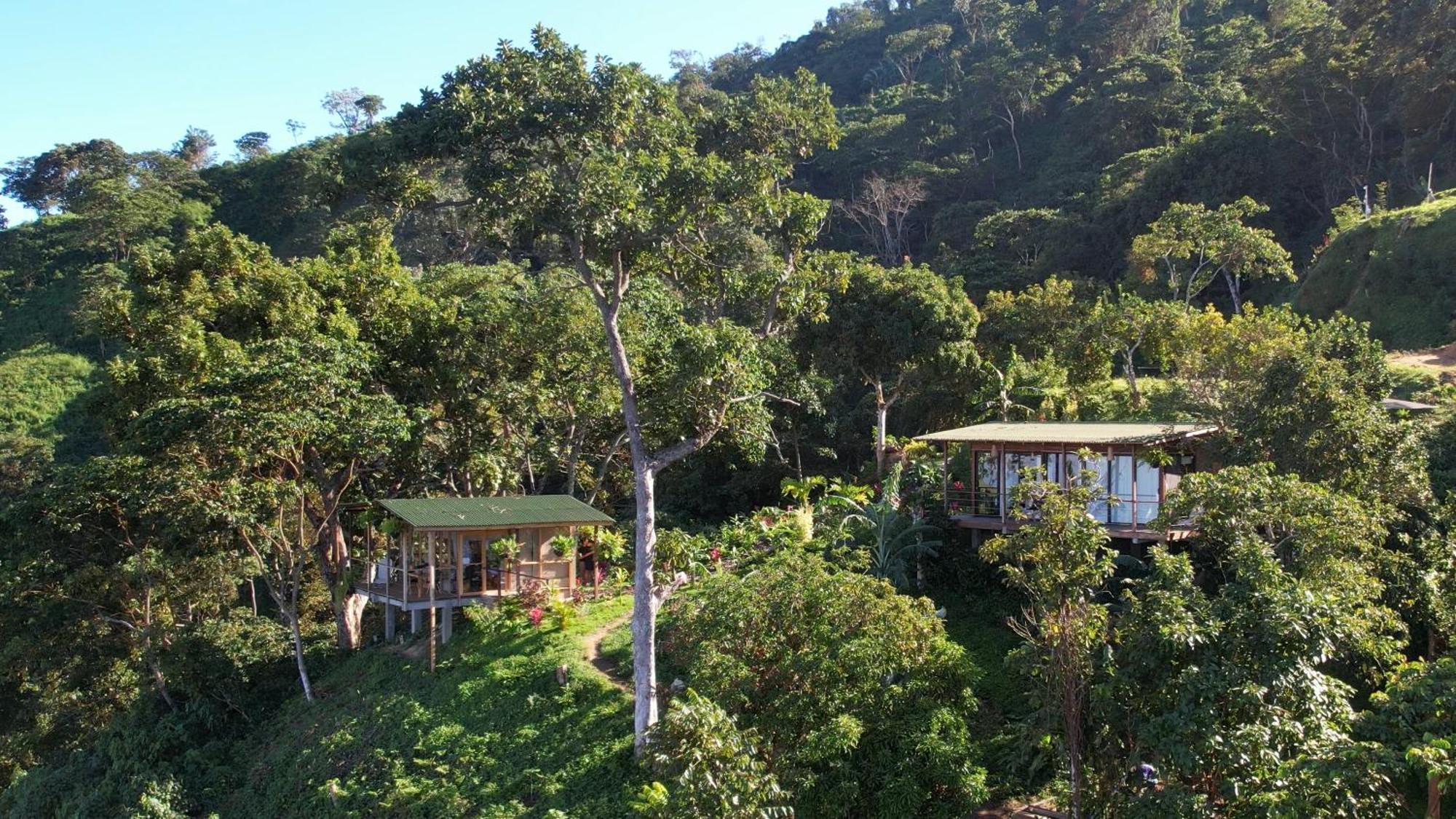 Minca Sintropia - Sustainable Lodge & Organic Coffee Finca Exterior photo