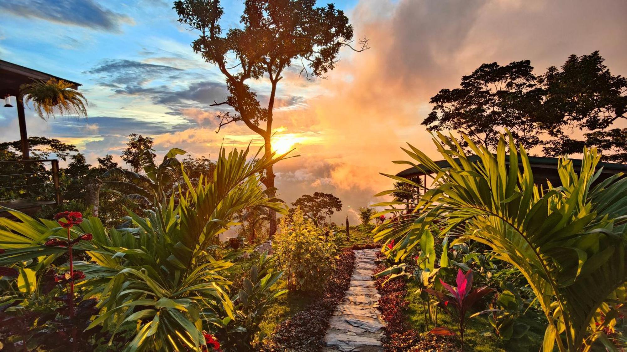 Minca Sintropia - Sustainable Lodge & Organic Coffee Finca Exterior photo
