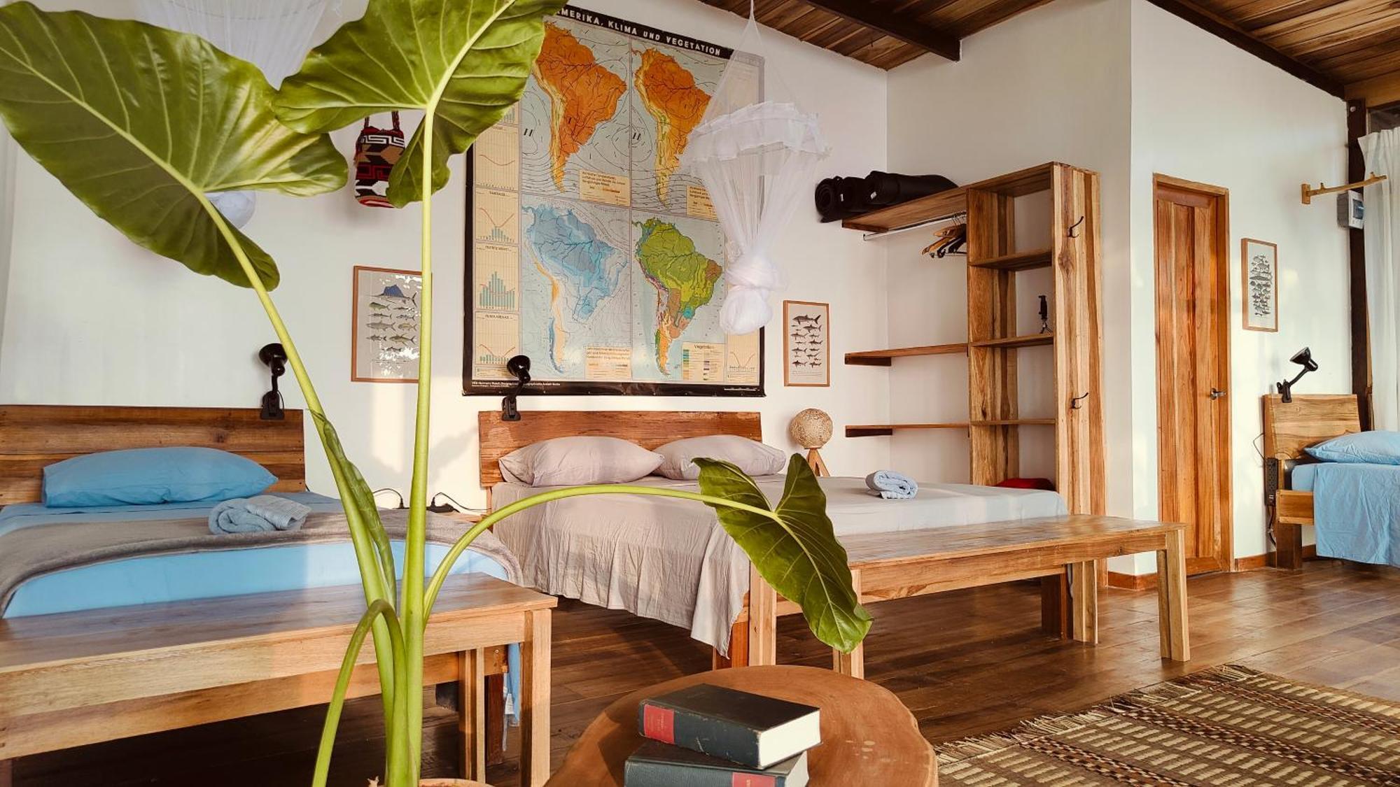 Minca Sintropia - Sustainable Lodge & Organic Coffee Finca Exterior photo