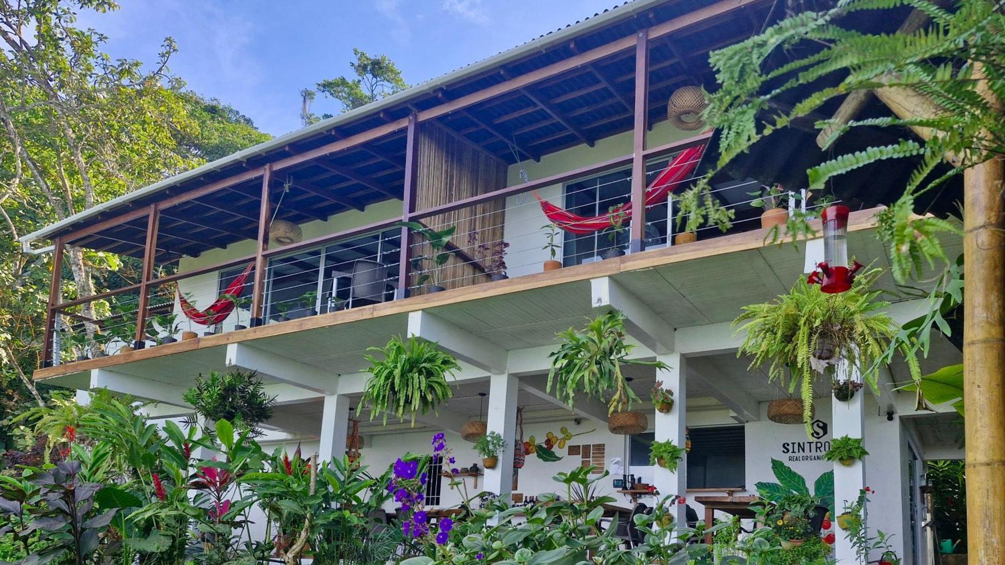 Minca Sintropia - Sustainable Lodge & Organic Coffee Finca Room photo
