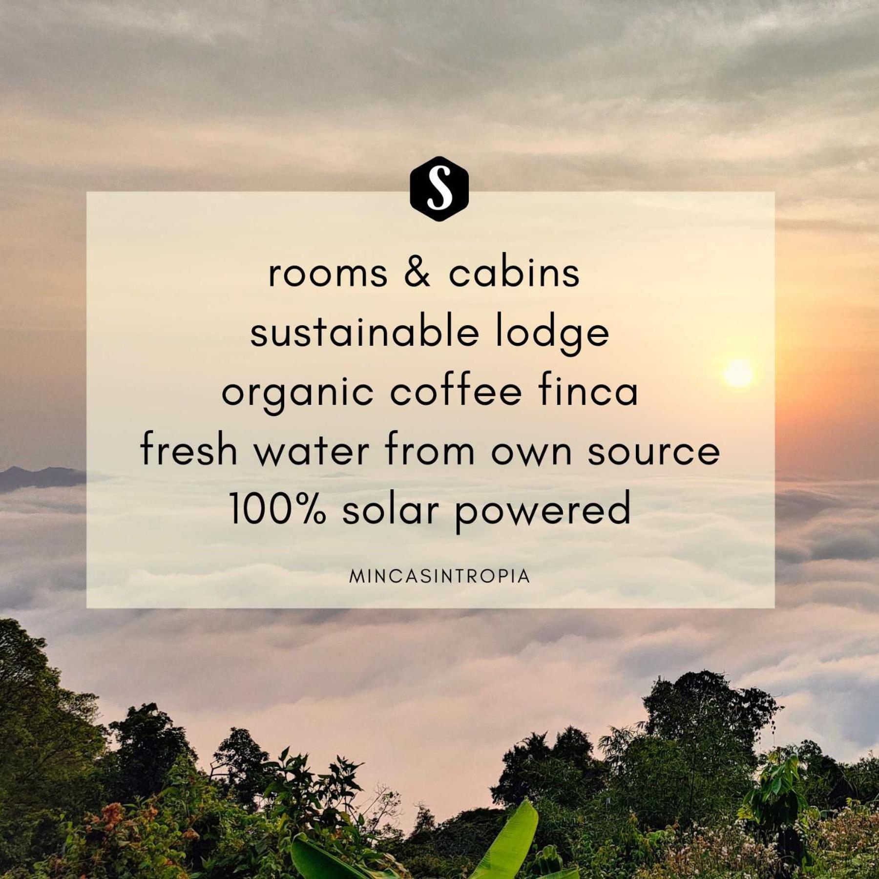 Minca Sintropia - Sustainable Lodge & Organic Coffee Finca Exterior photo