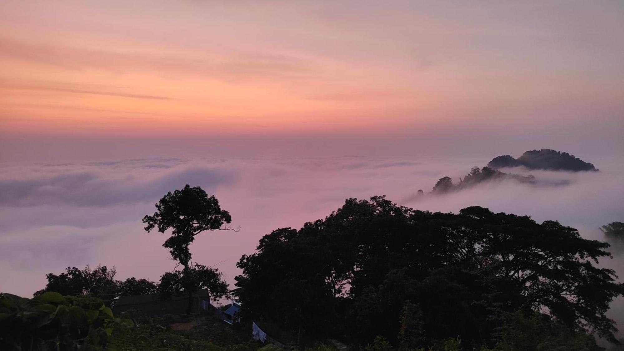 Minca Sintropia - Sustainable Lodge & Organic Coffee Finca Exterior photo